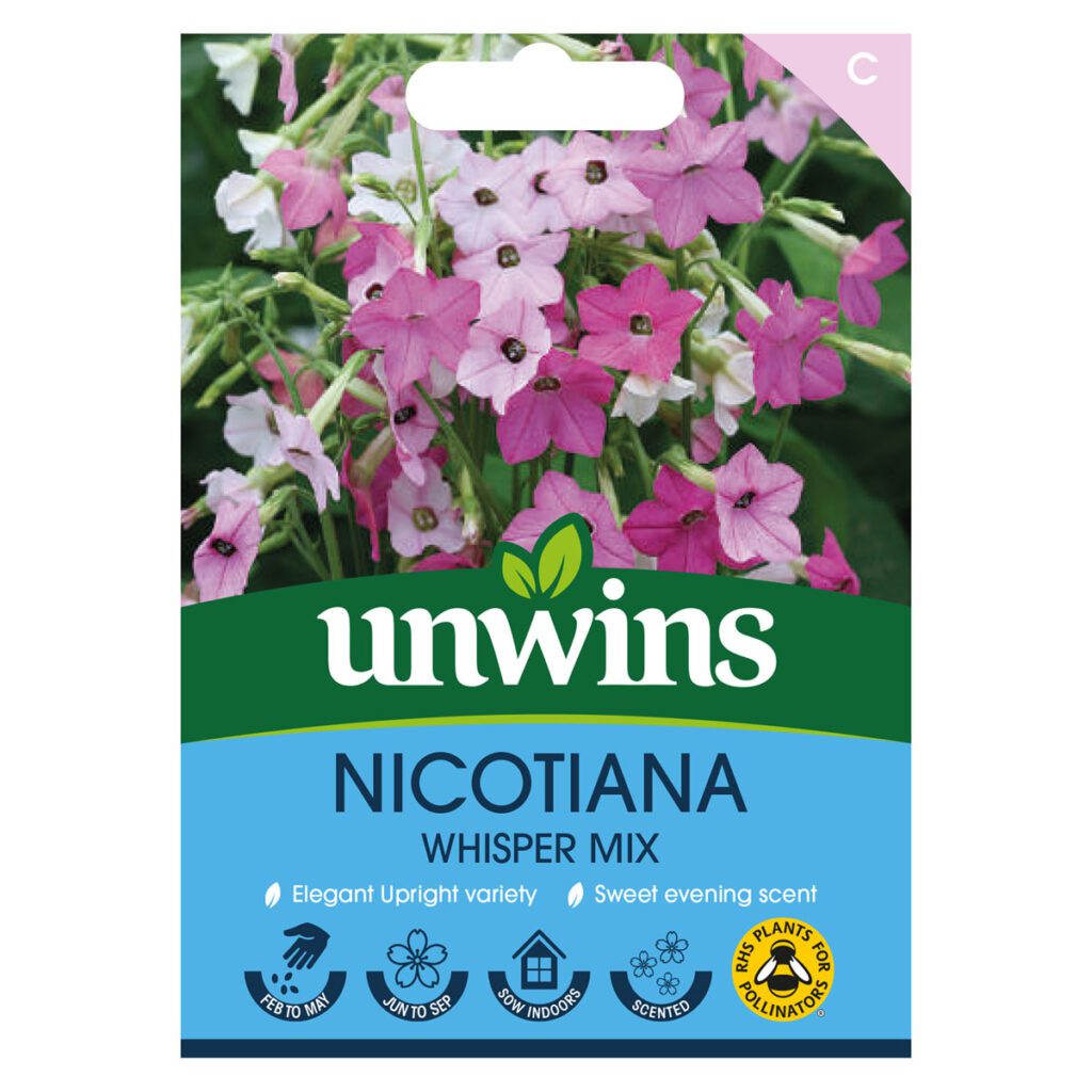 Unwins Nicotiana Whisper Mix Seeds 5051618035934 2